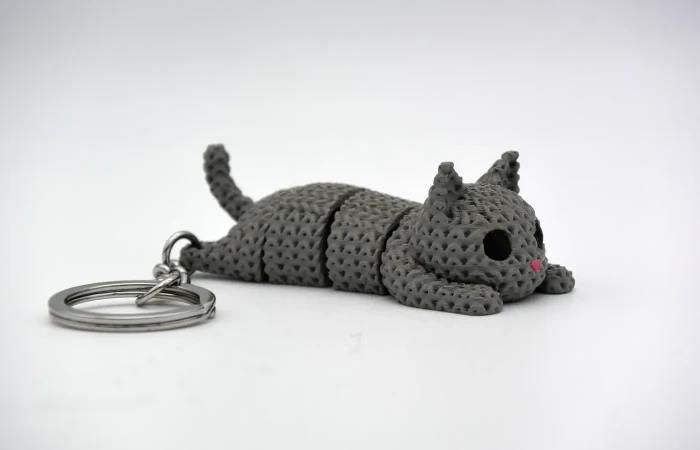 cat1.webp